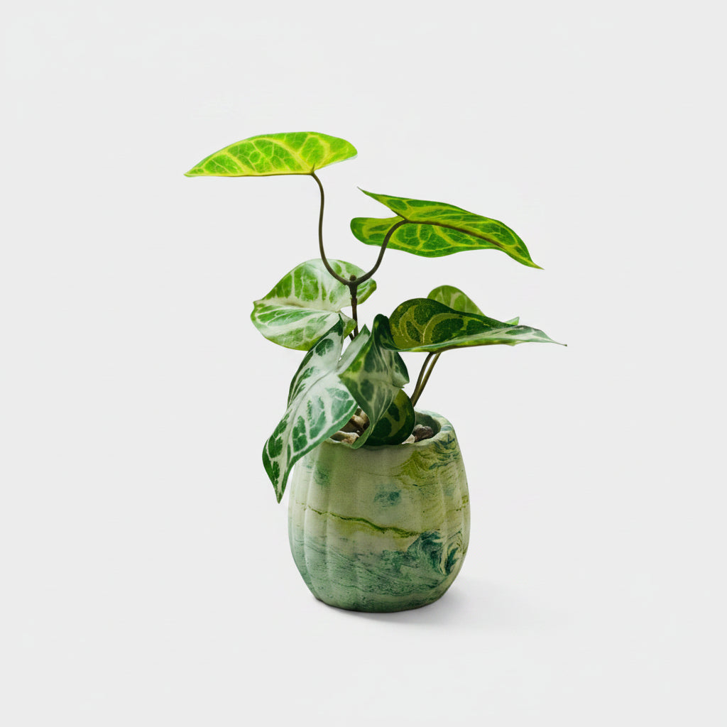 Artificial Flower Concrete Home Decor - Eccentric Scents 