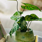 Concrete Home Decor Artificial Flower - Eccentric Scents 