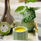 Tropical Vibes Concrete Candle - Eccentric Scents 