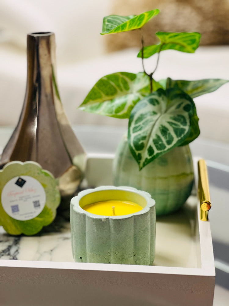 Tropical Vibes Concrete Candle - Eccentric Scents 