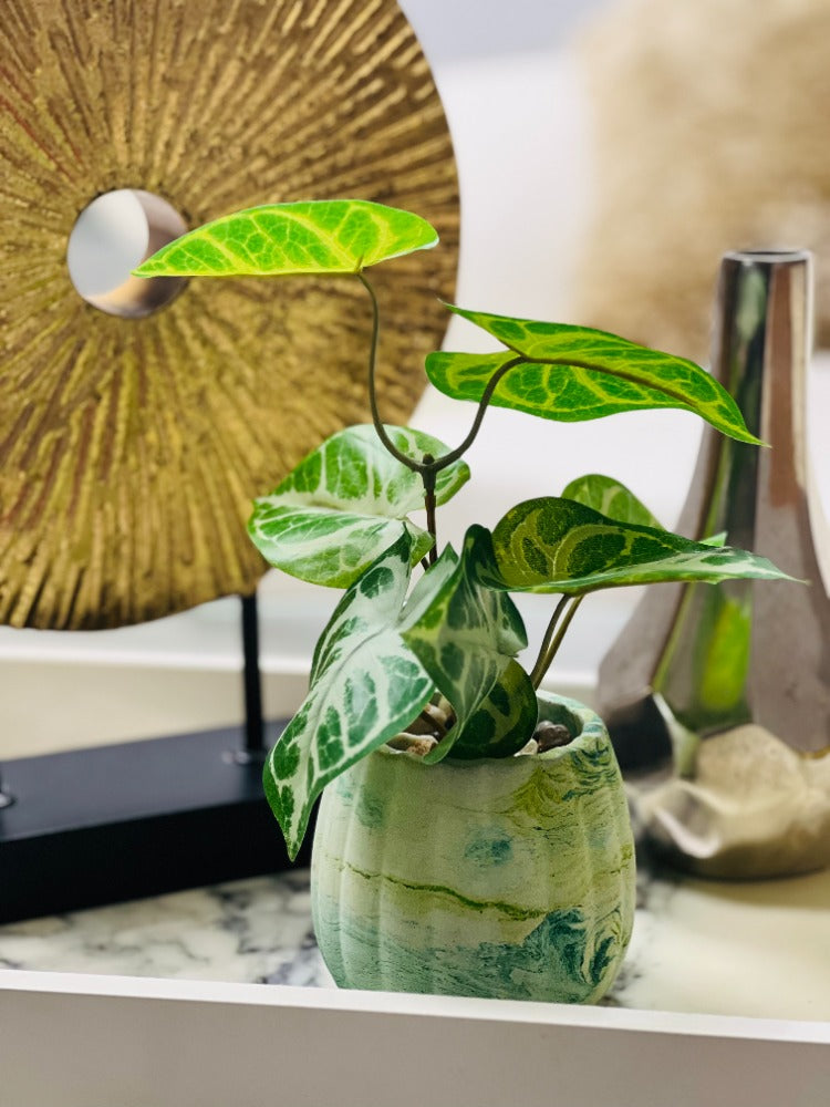 Artificial Flower Concrete Home Decor - Eccentric Scents 